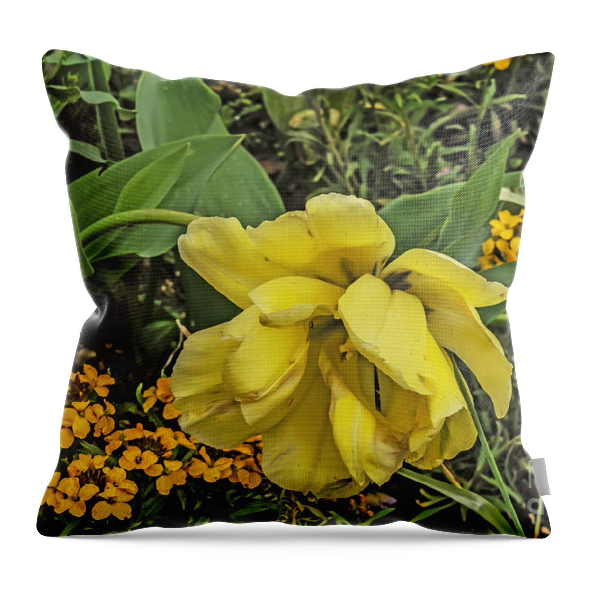 Travel Throw Pillow featuring the photograph Shades of Yellow by Elvis Vaughn