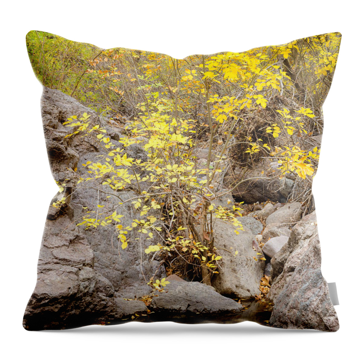 Trees Throw Pillow featuring the photograph Shades of Yellow by Tamara Becker
