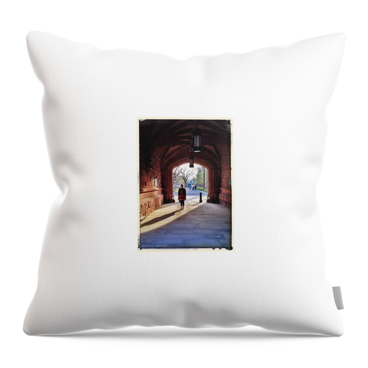 Top_masters Throw Pillow featuring the photograph Shadow And Light, Chrissy At Princeton by Anna Porter
