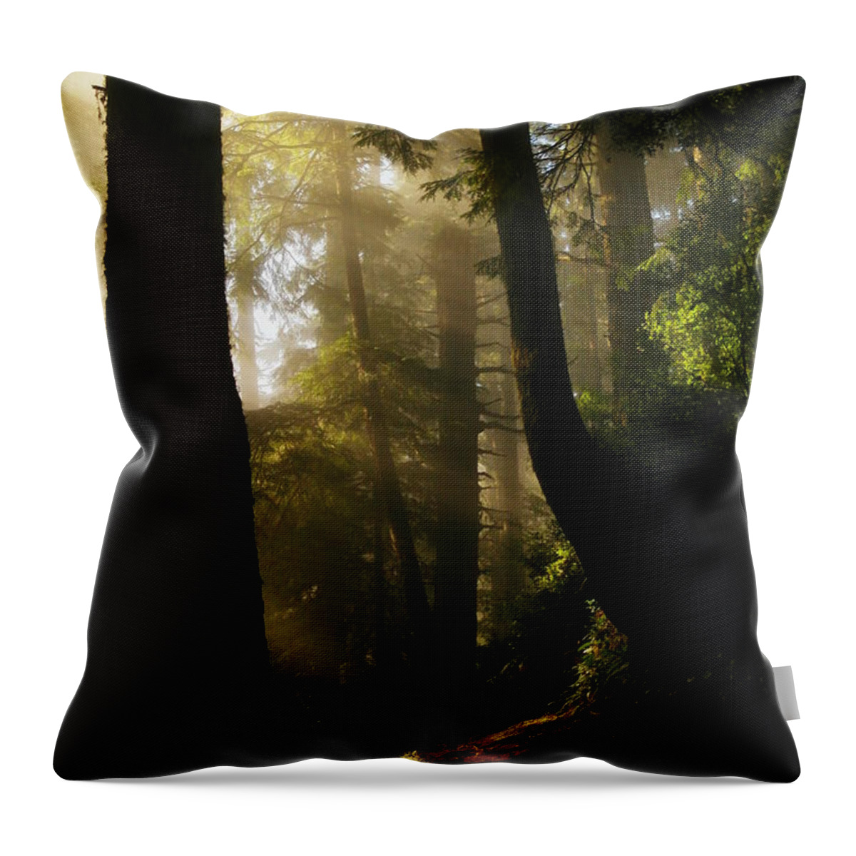 Trees Throw Pillow featuring the photograph Shadow Dreams by Jeff Swan