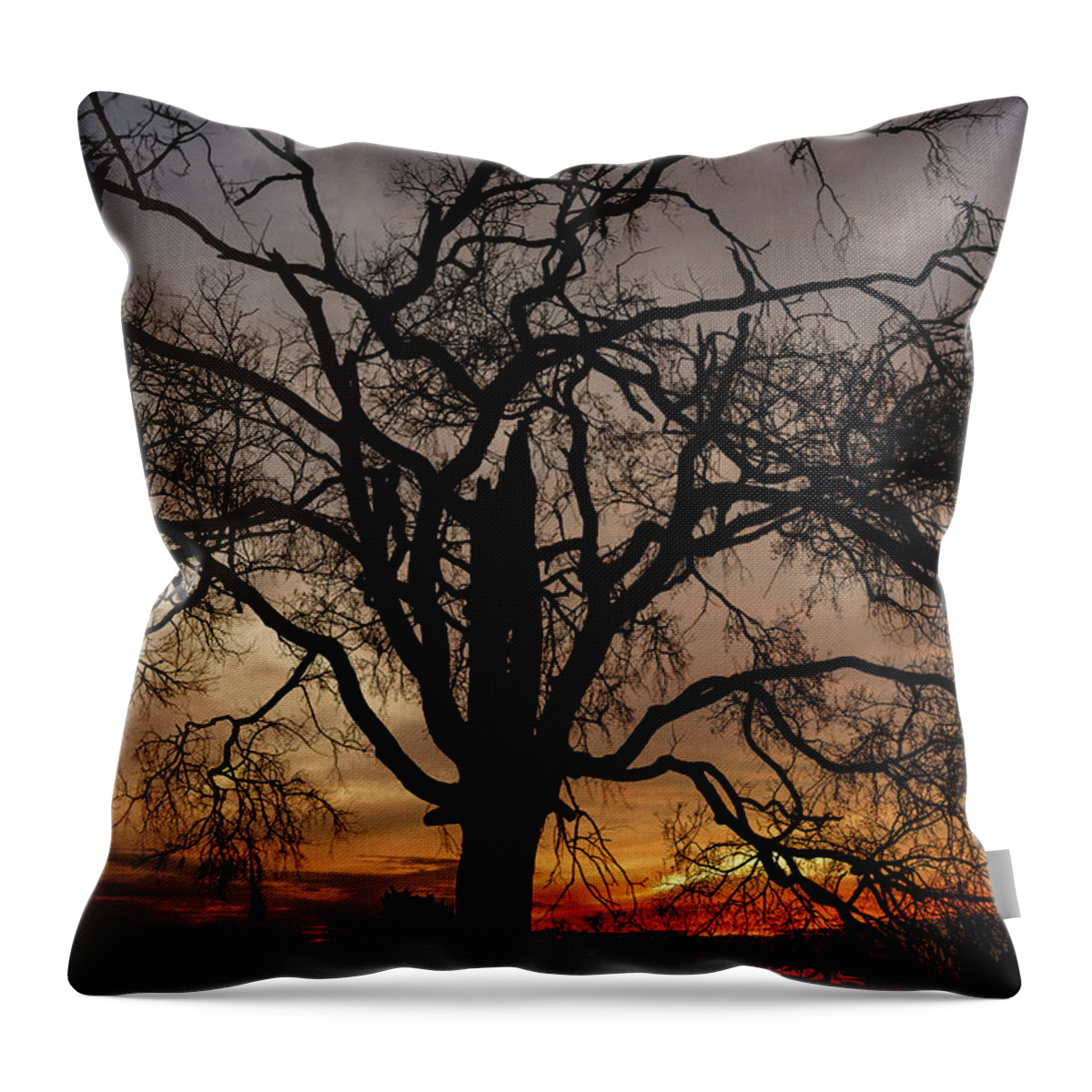 Shadow Throw Pillow featuring the photograph Shadow Tree by Brett Engle