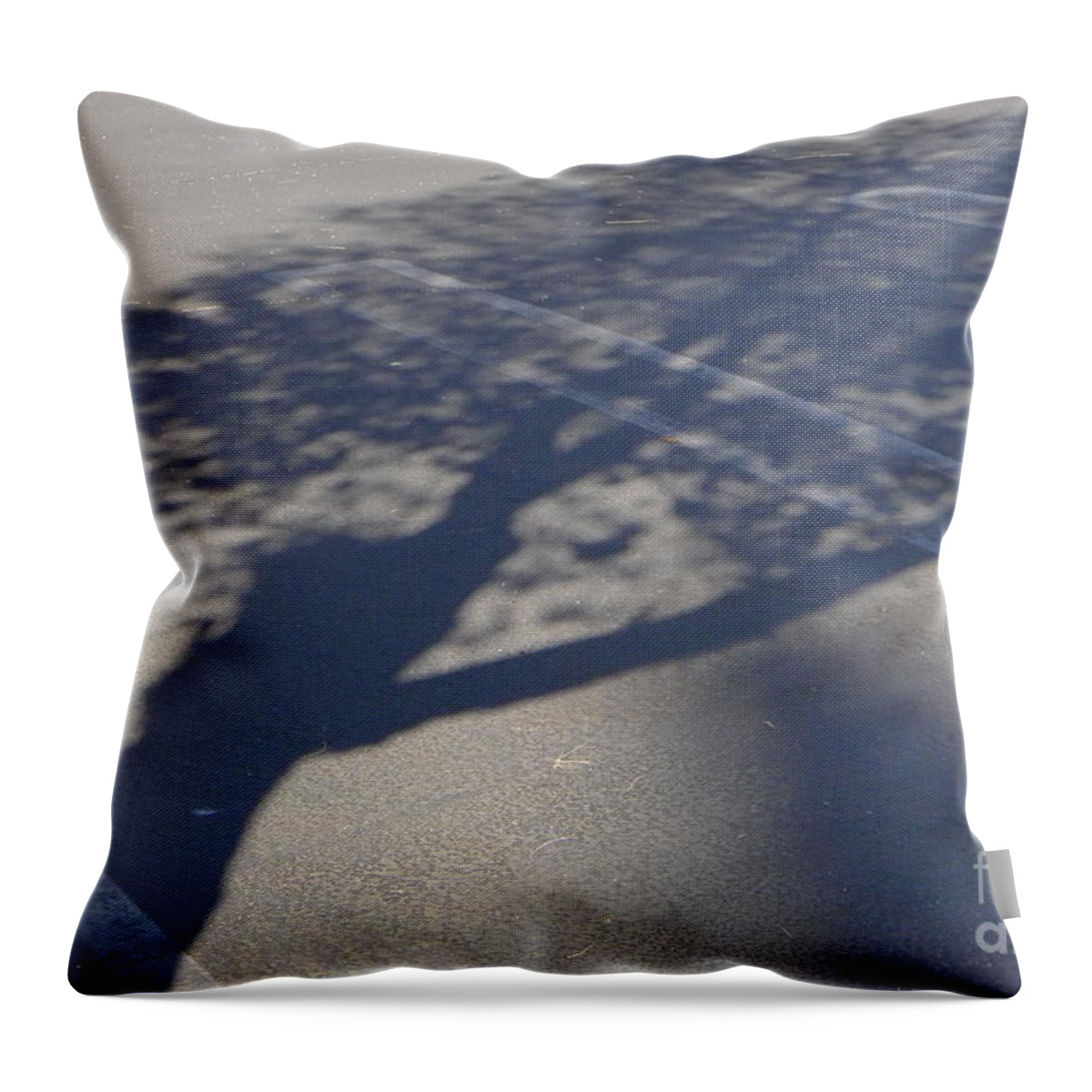 Shadow Throw Pillow featuring the photograph Shadow Tree by Nora Boghossian