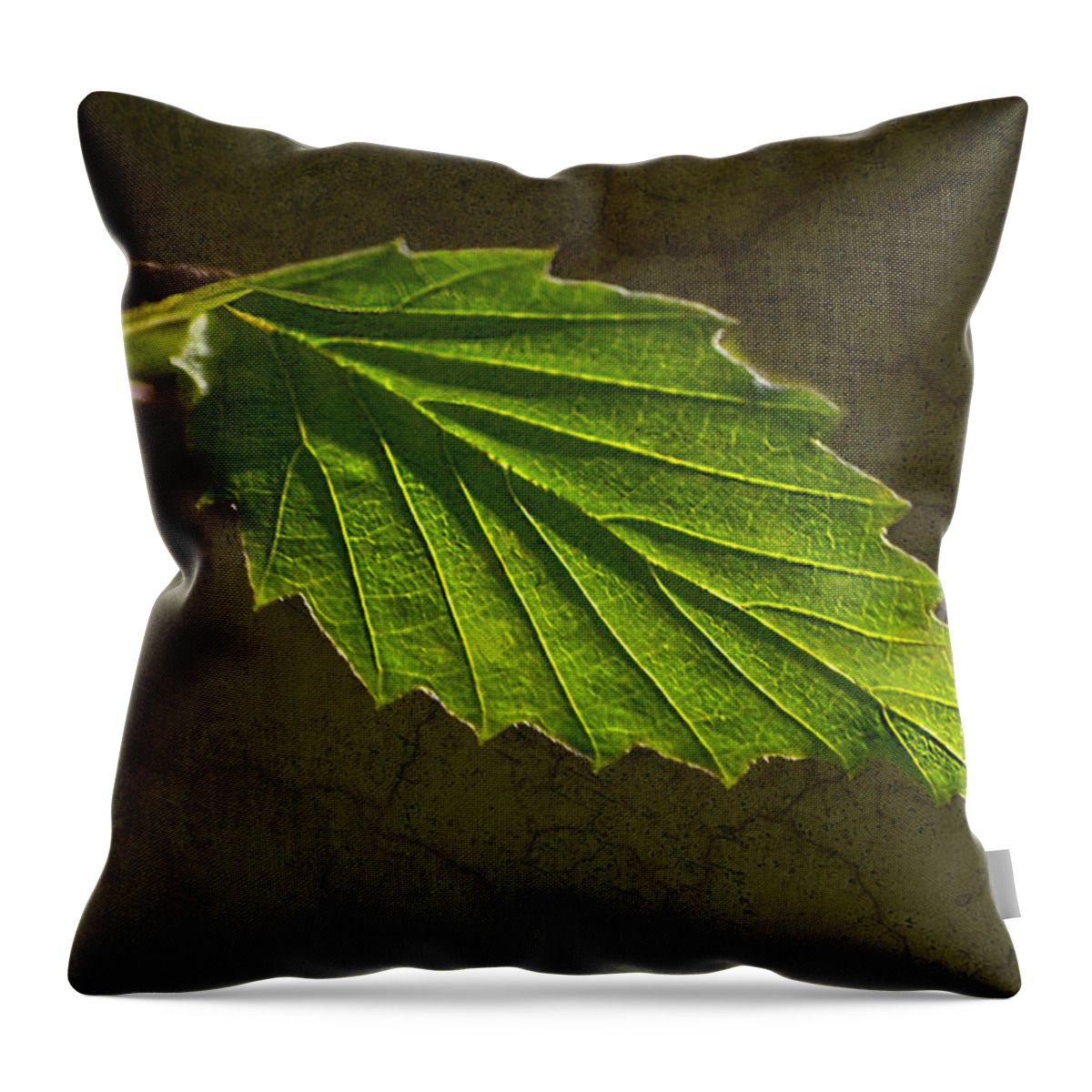 Leaf Throw Pillow featuring the photograph Shadows and Light Of The Leaf by Sandi OReilly