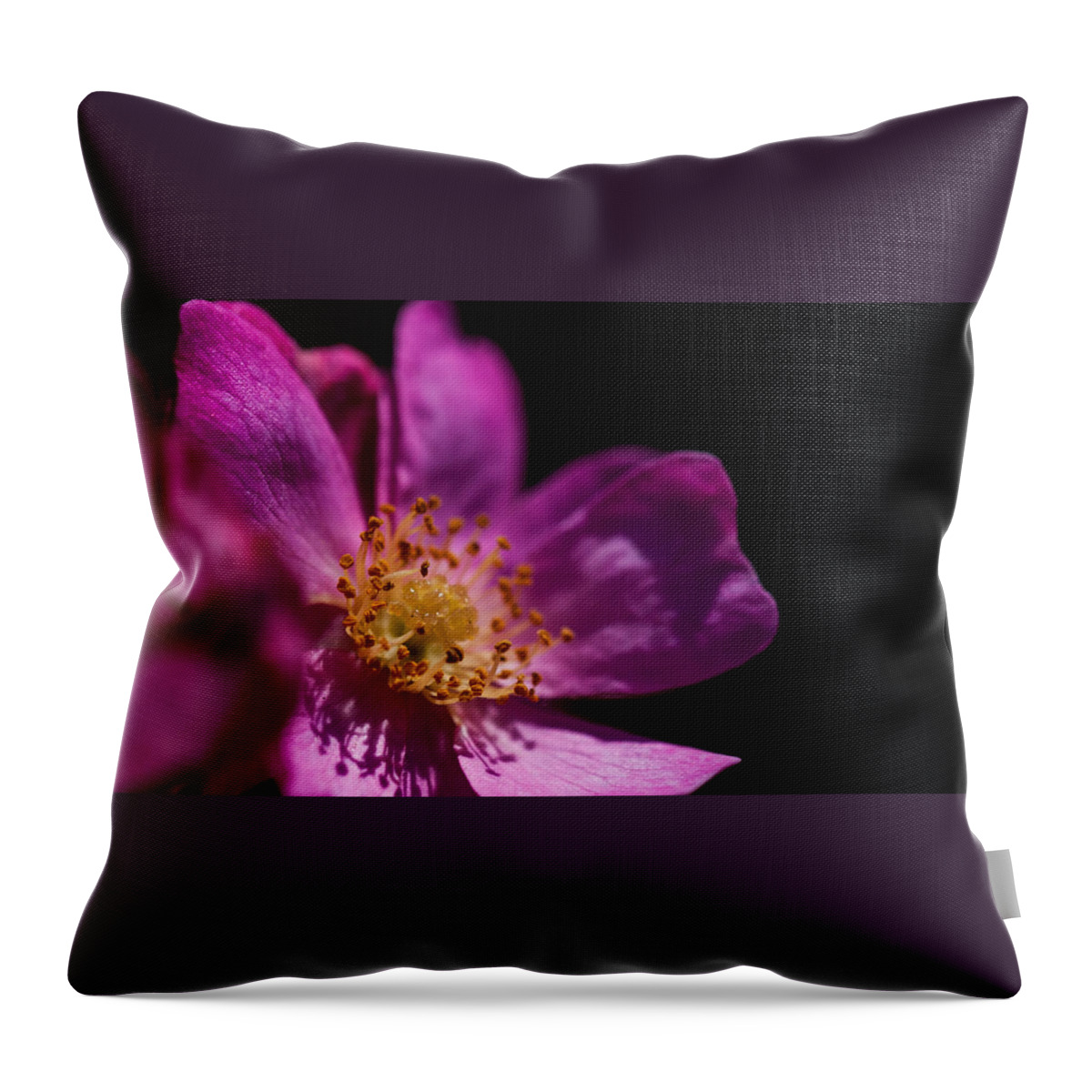 Flower Throw Pillow featuring the photograph Shadows in My Heart by Alex Lapidus
