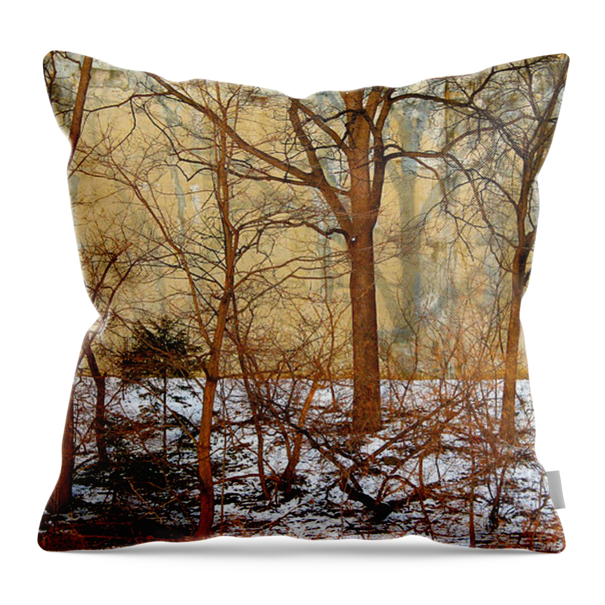 Trees Throw Pillow featuring the photograph Shadows in the Urban Jungle by Nina Silver