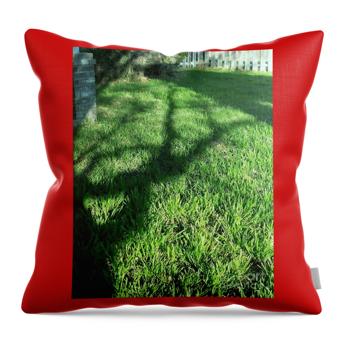 Shadow Throw Pillow featuring the photograph Shadows Reaching by Susan Williams