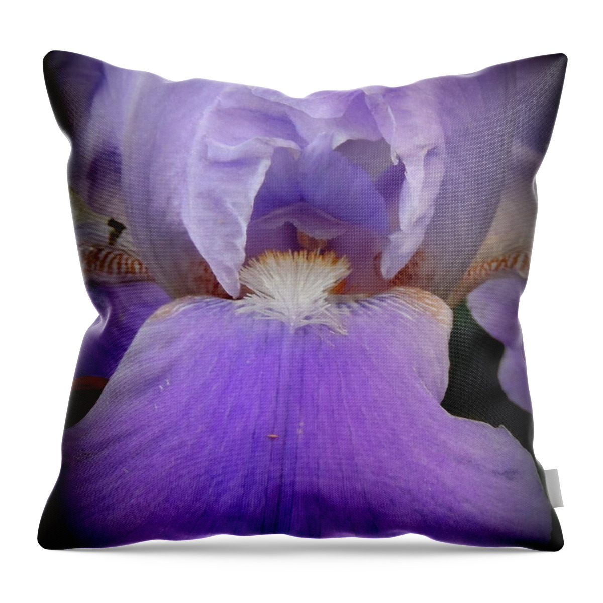 Flowers Throw Pillow featuring the photograph Sharing my Iris by Rabiah Seminole