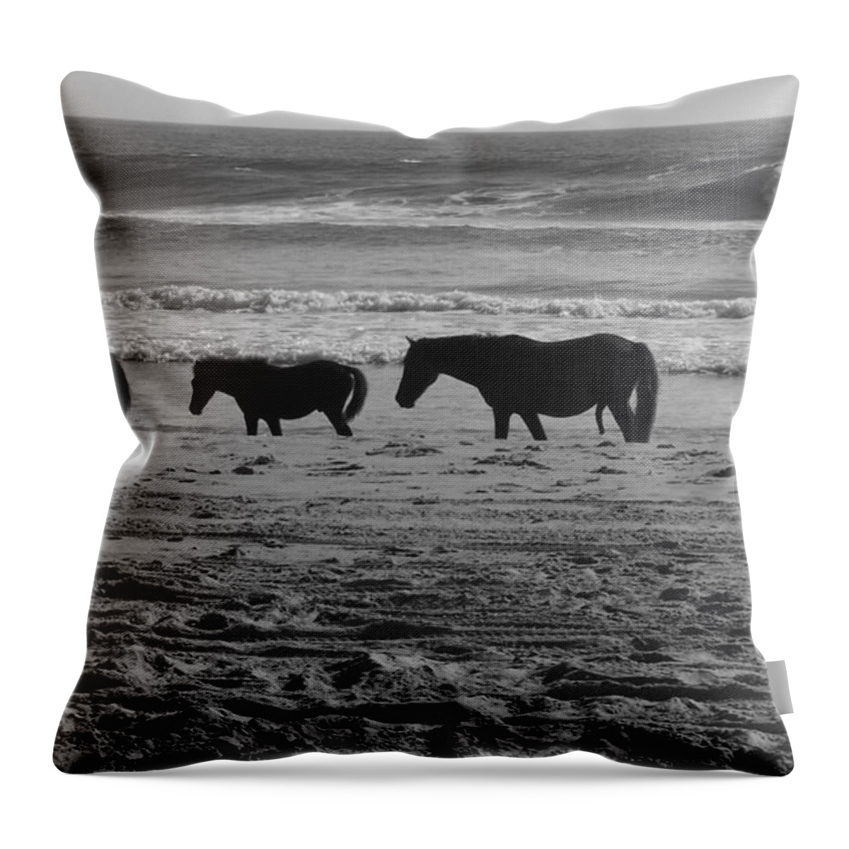 Wild Spanish Mustang Throw Pillow featuring the photograph Sharing Spaces by Kim Galluzzo