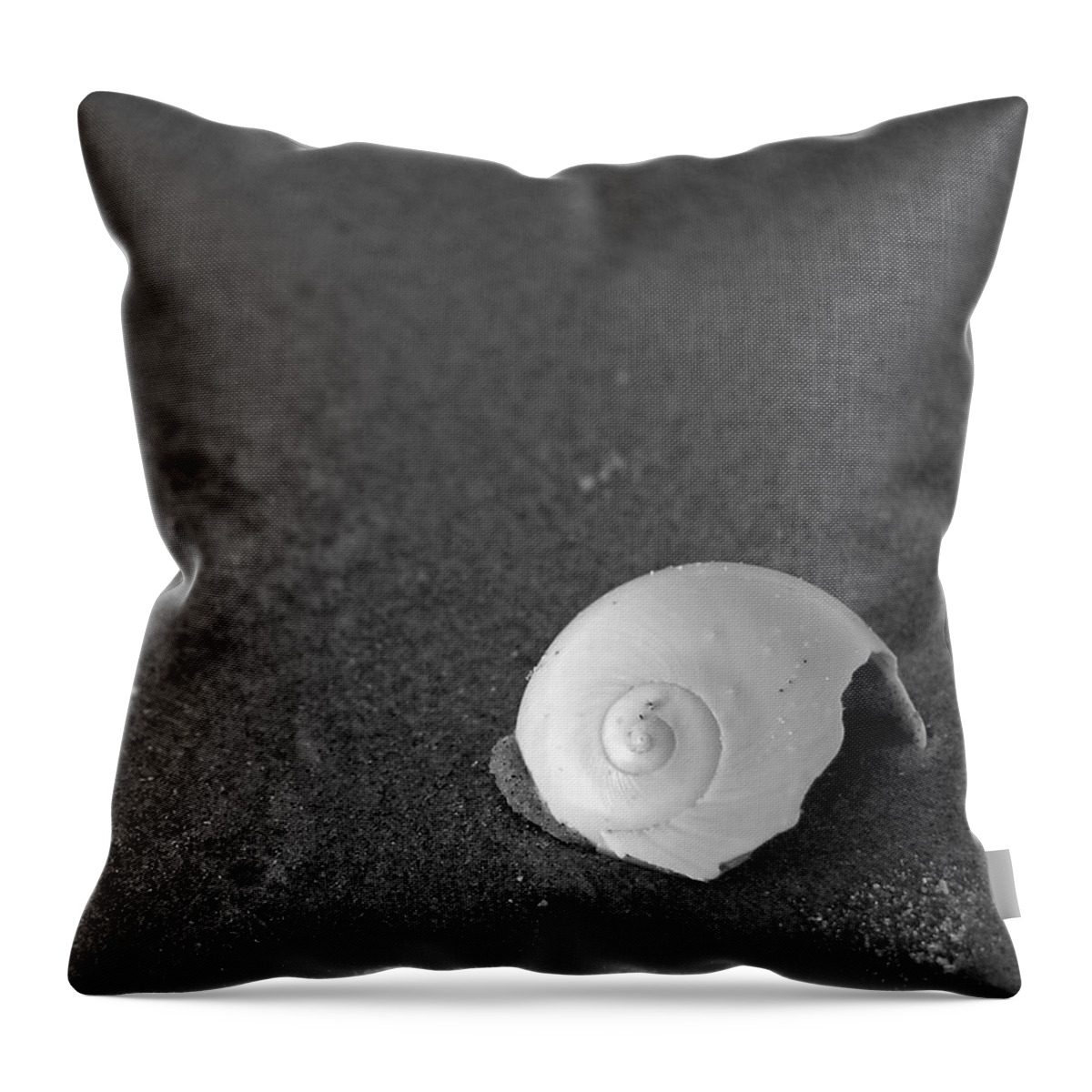 Sea Throw Pillow featuring the photograph Shark's Eye in the Sand by Adam Johnson