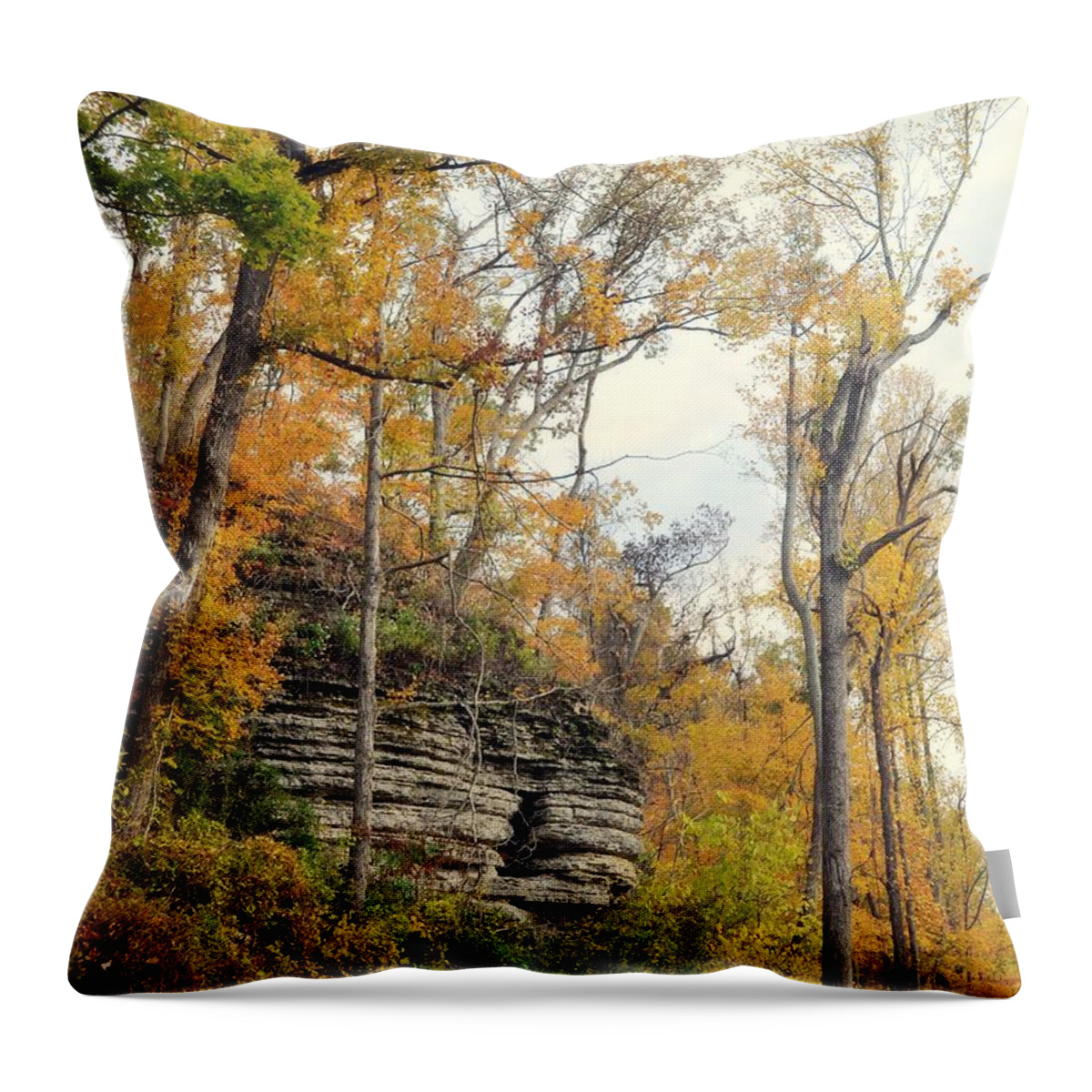 Bluff Throw Pillow featuring the photograph Shawee Bluff in Fall by Marty Koch