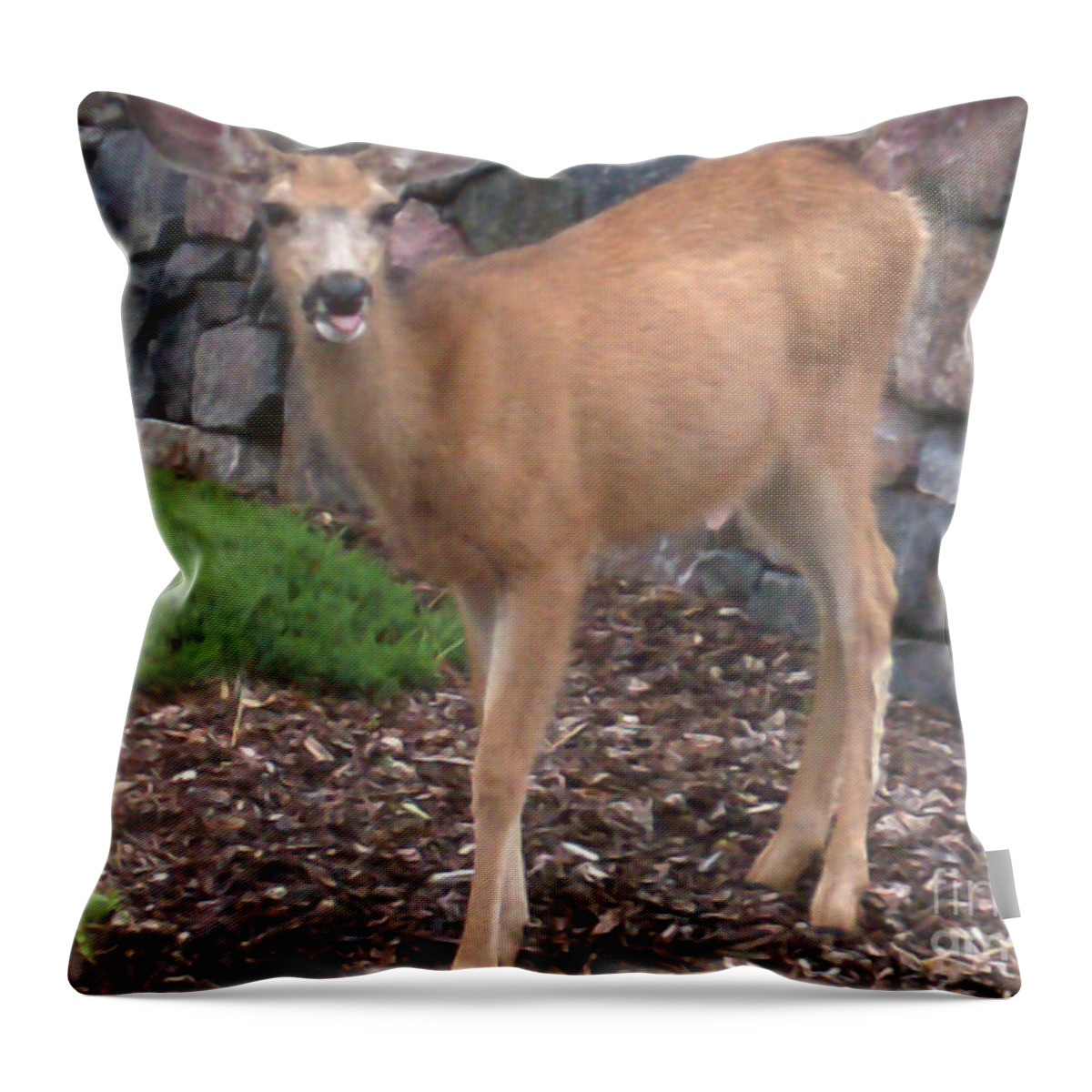  Throw Pillow featuring the photograph She Stuck her tongue out at me by Kelly Awad