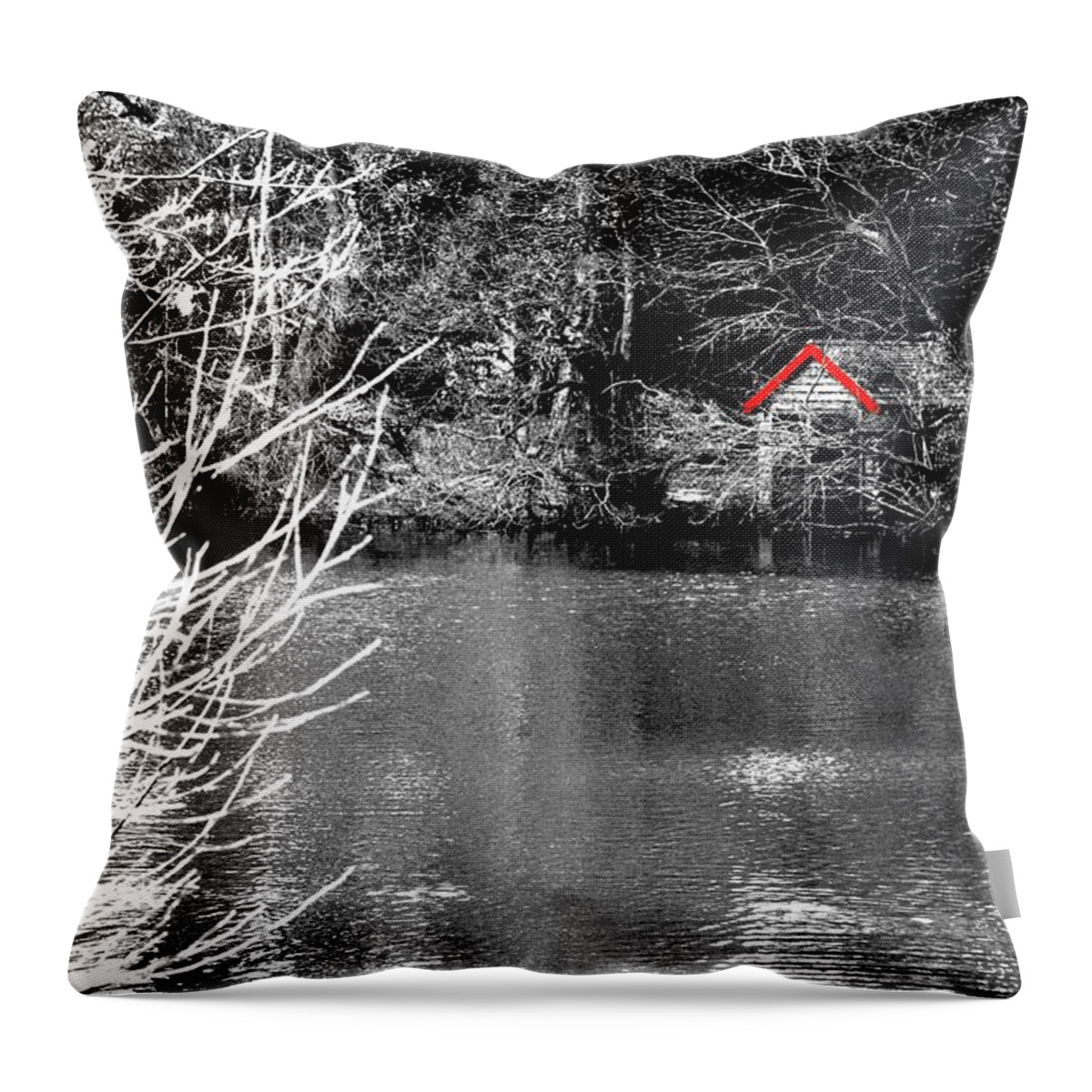 Black Throw Pillow featuring the photograph Shed on the lake by Christopher Rowlands