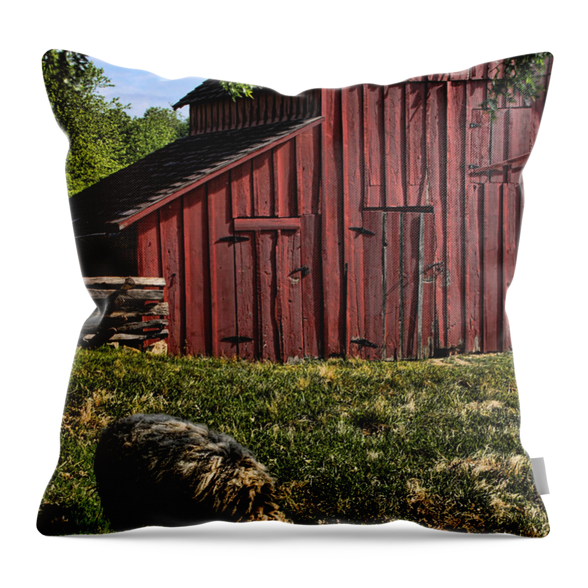 Barn Throw Pillow featuring the photograph Sheep and Barn by Crystal Nederman
