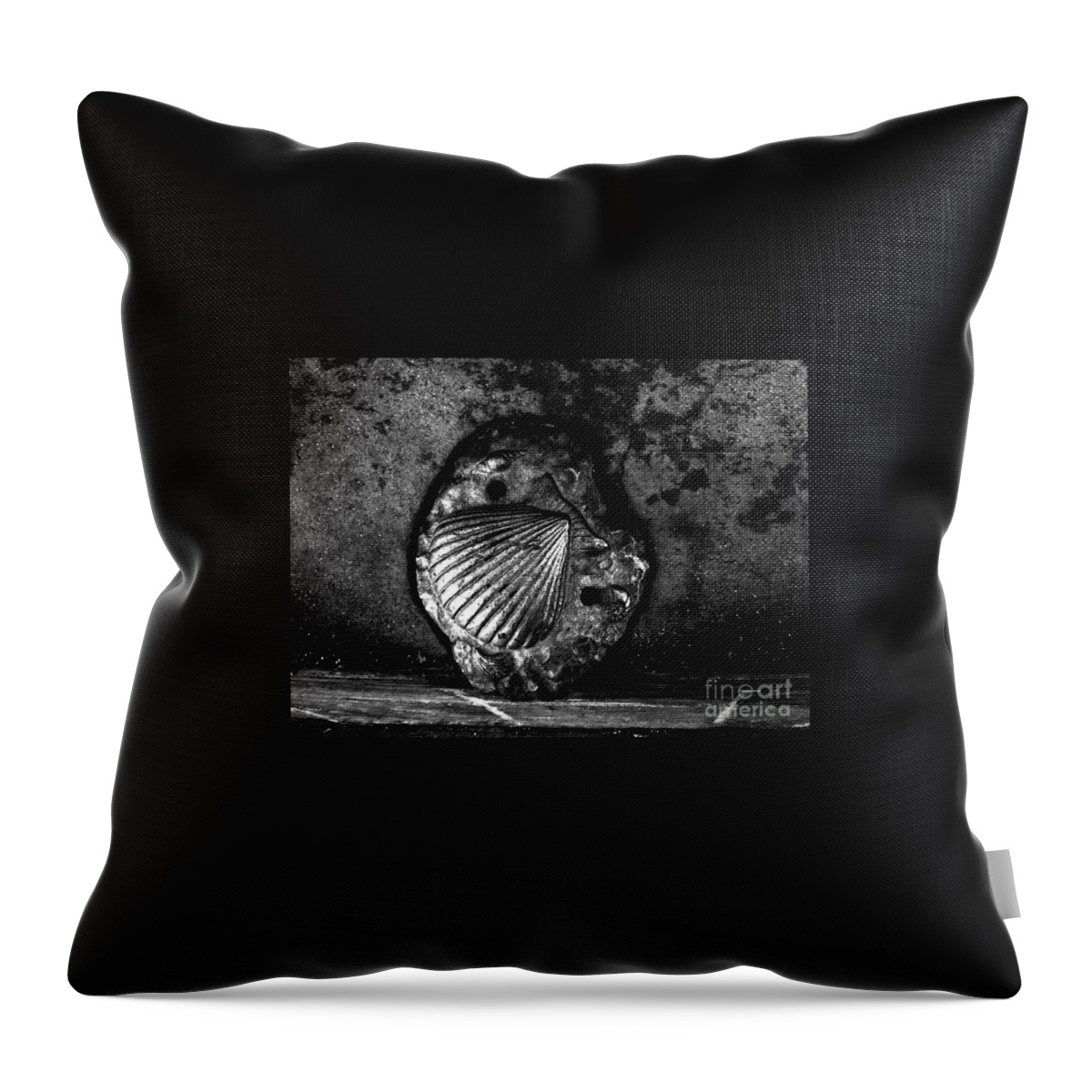 Black And White Photography Throw Pillow featuring the photograph Shell 1 by Fei A