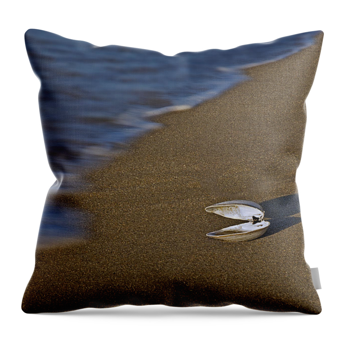 Sea Shell Throw Pillow featuring the photograph Shell By The Shore by Susan Candelario