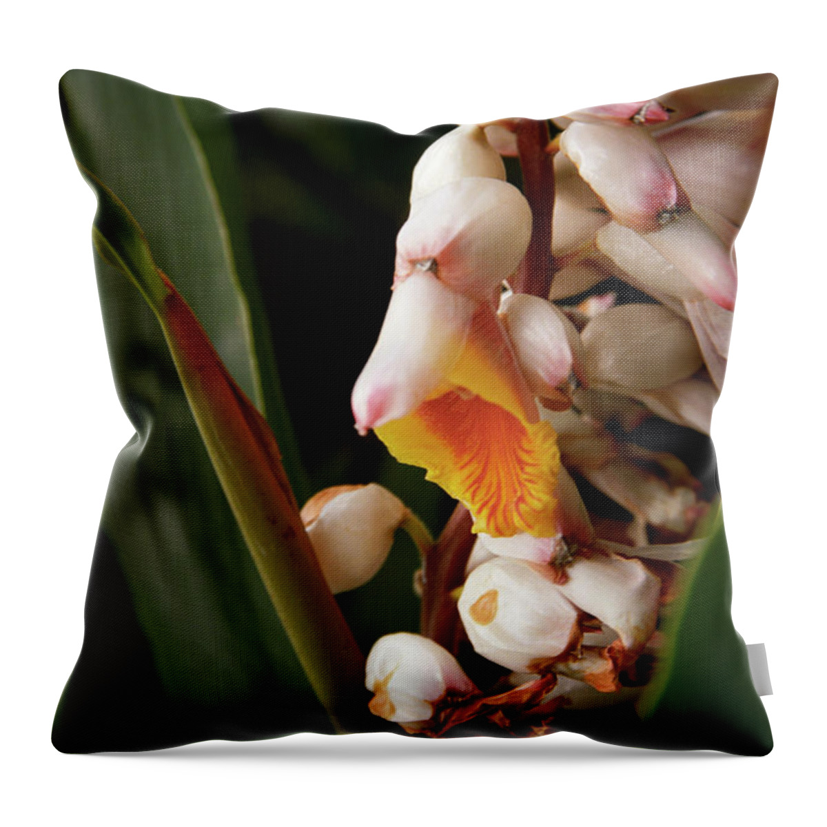 Flowers Throw Pillow featuring the photograph Shell Ginger by Kathy McClure