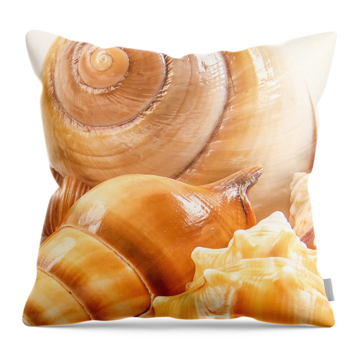 Shell Throw Pillow featuring the photograph Shells by Jean Noren