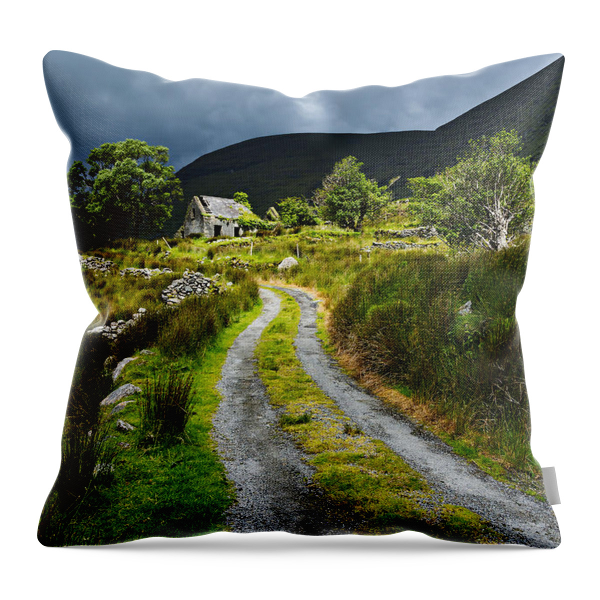 Ireland Throw Pillow featuring the photograph Shepherd's Delight by Dan McGeorge