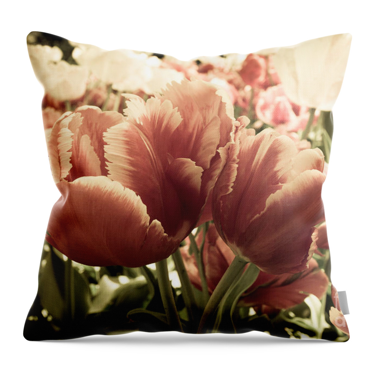 Tulip Throw Pillow featuring the photograph Sherwood Gardens 8 by Chris Scroggins