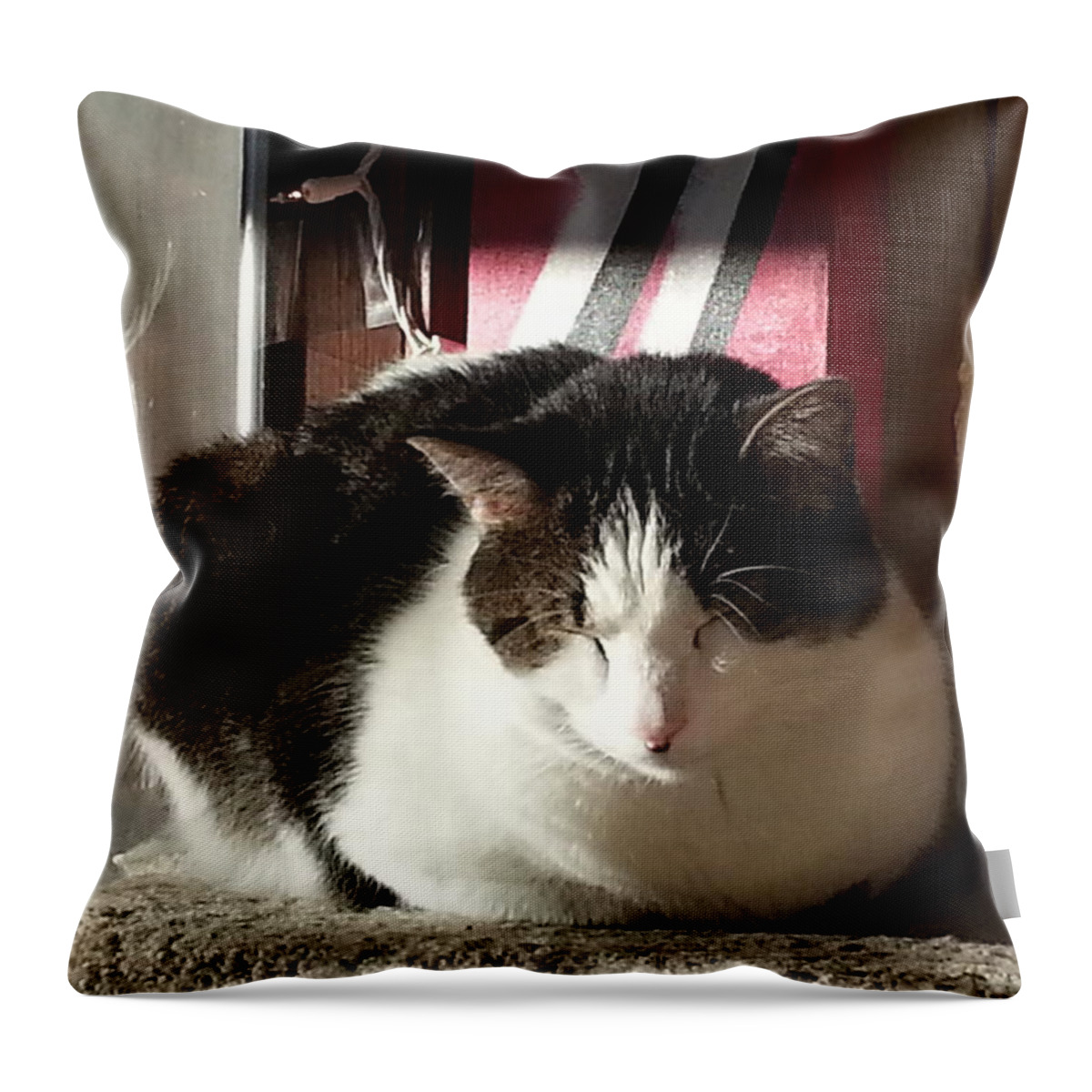 Cat Throw Pillow featuring the photograph Shhh by Caryl J Bohn