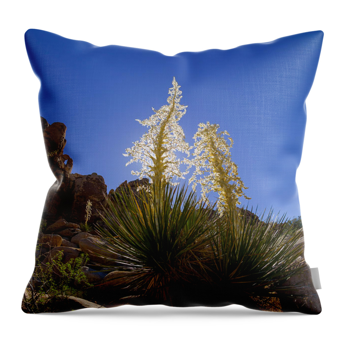 Flower Throw Pillow featuring the photograph Shields by Scott Campbell