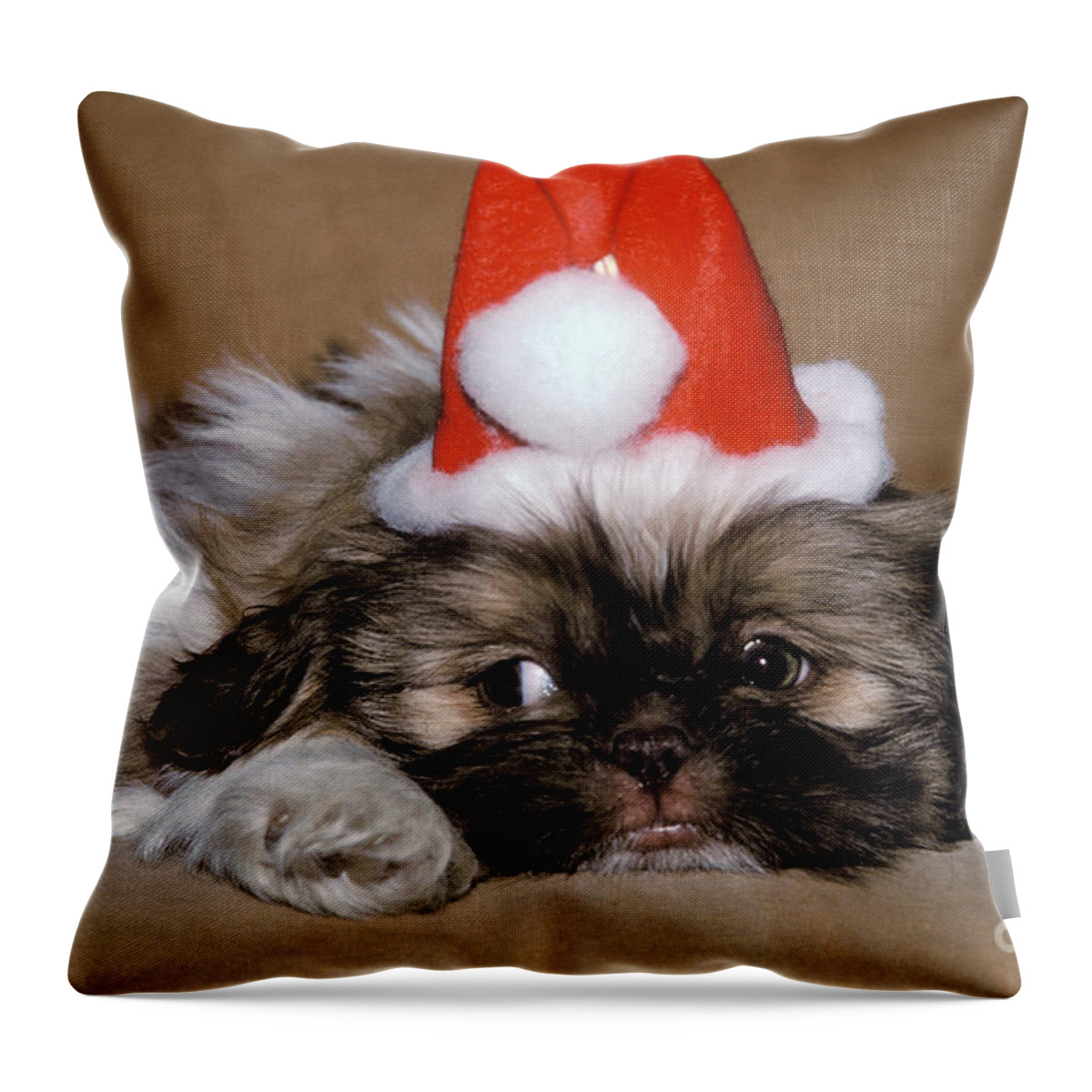 Animal Throw Pillow featuring the photograph Shih Tzu Dressed As Santa Claus by Ron Sanford