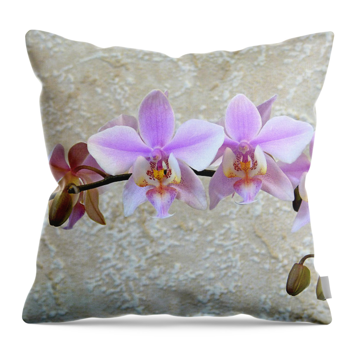 Flower Throw Pillow featuring the photograph Shilleriana by Pete Trenholm