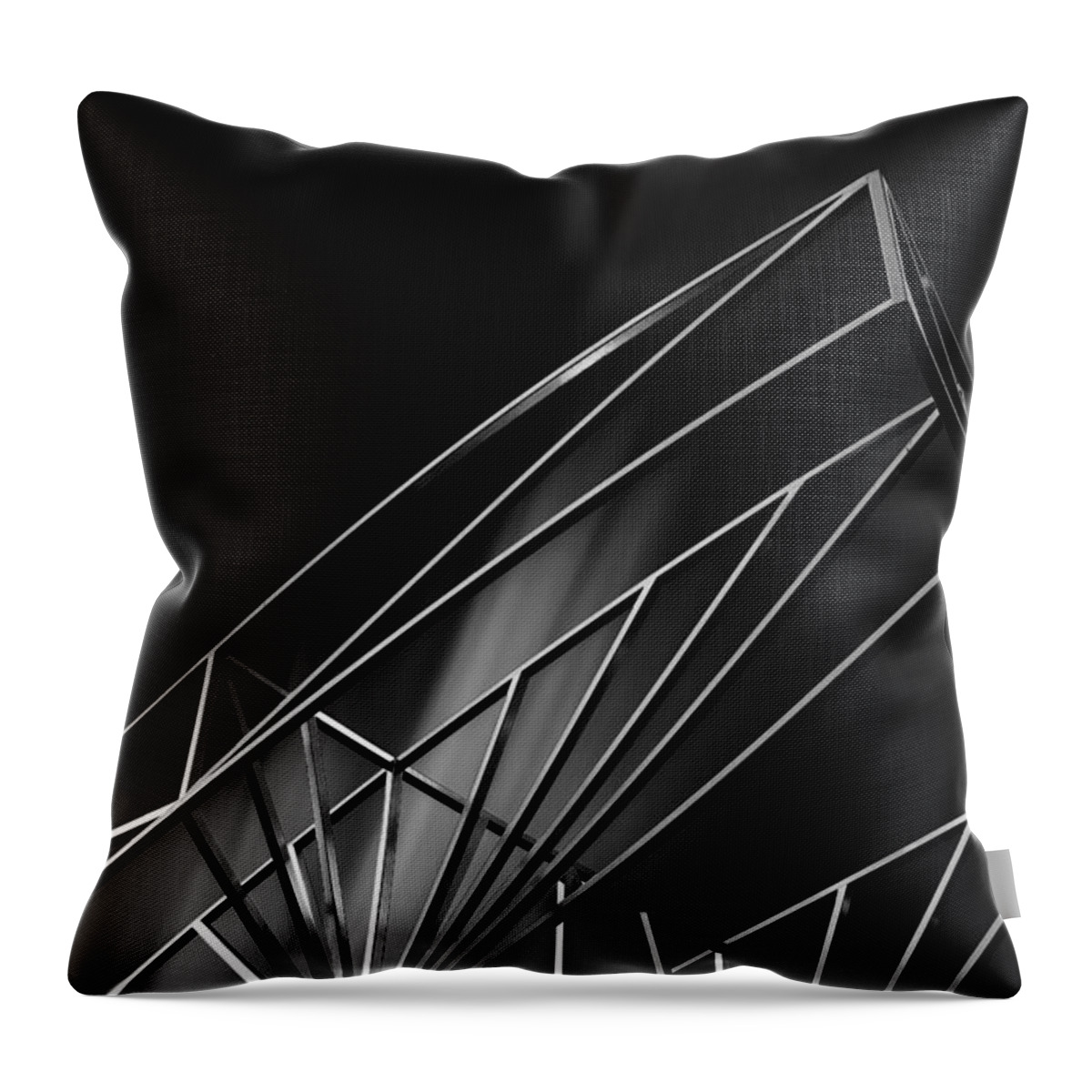 Shine Throw Pillow featuring the photograph Shine by Ian Good