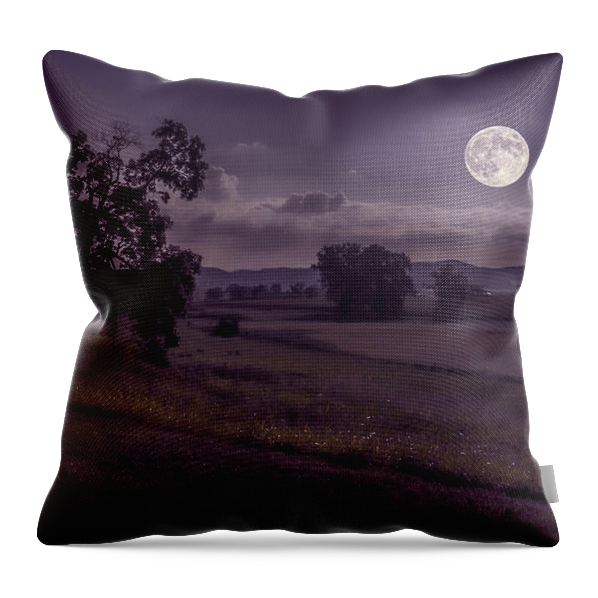 Harvestmoon Throw Pillow featuring the photograph Shine On Harvest Moon by Jaki Miller