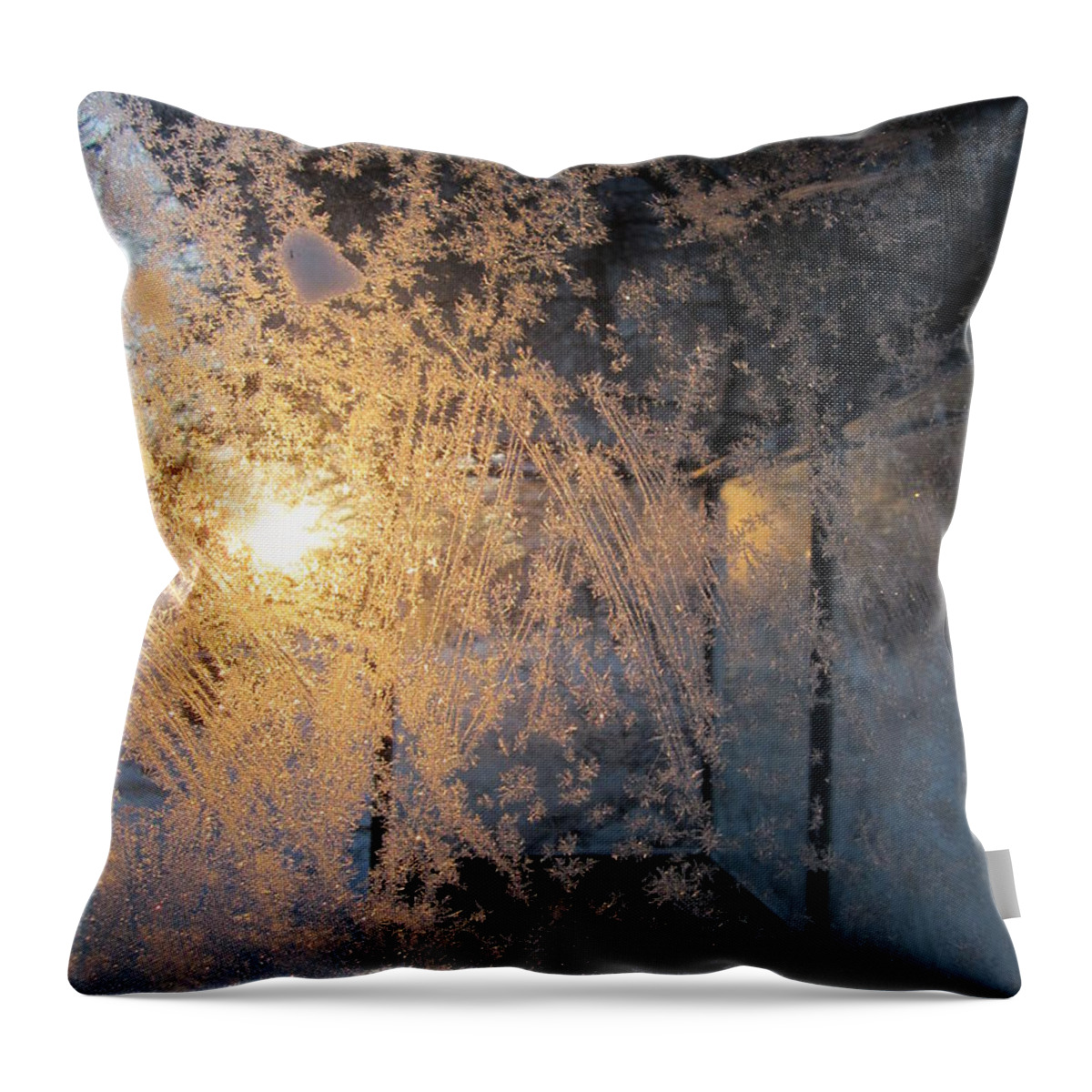 Winter Throw Pillow featuring the photograph Shines Through And Illuminates The Day by Rosita Larsson