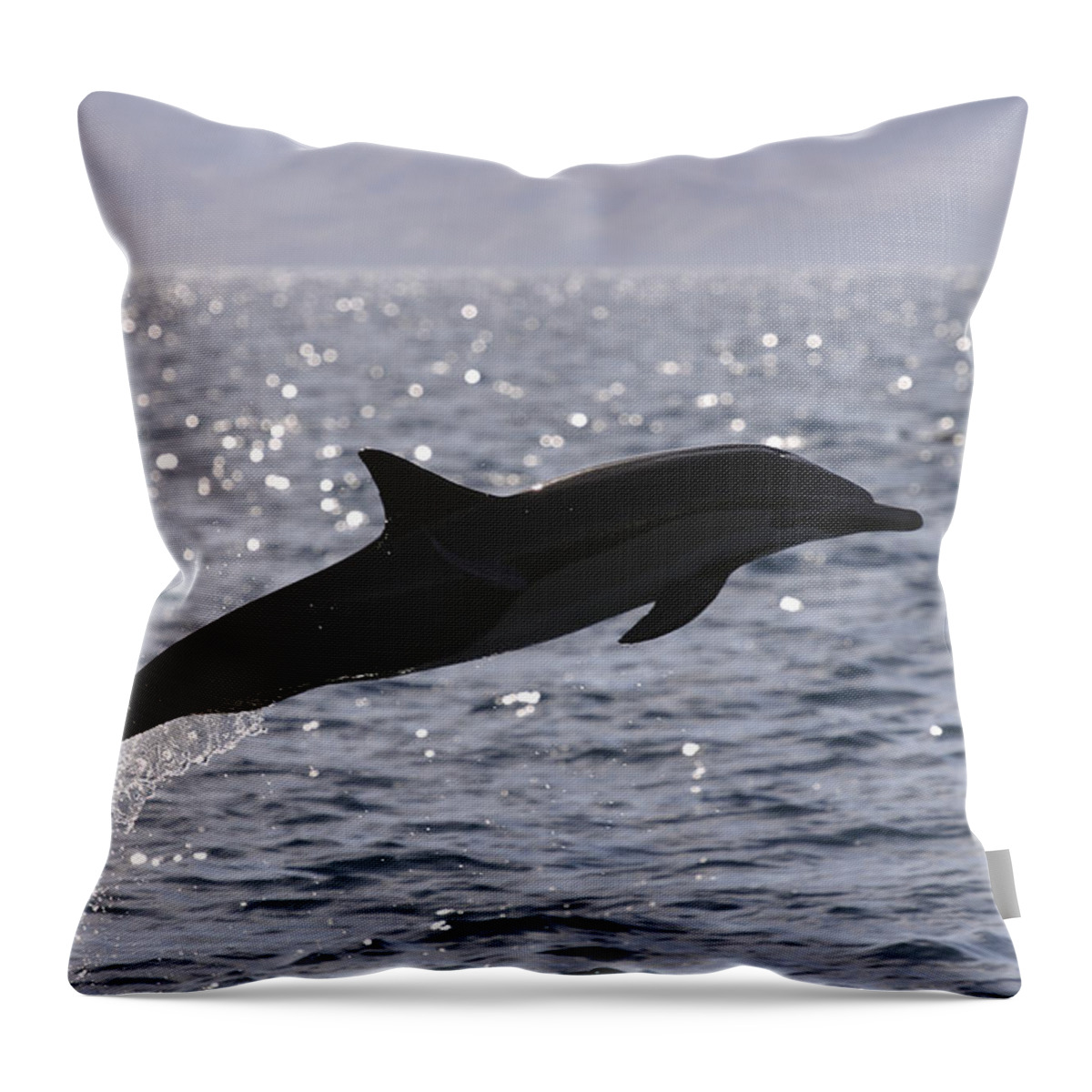 Feb0514 Throw Pillow featuring the photograph Short-beaked Common Dolphin Leaping Sea by Hiroya Minakuchi