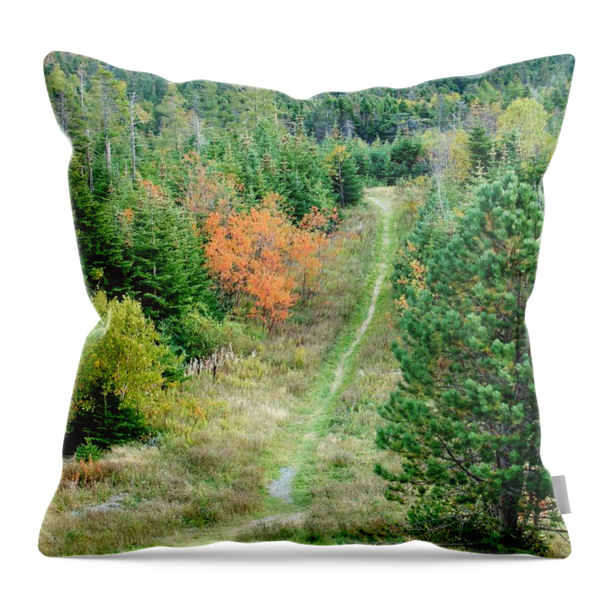 Trail Throw Pillow featuring the photograph Short Hike by Zinvolle Art