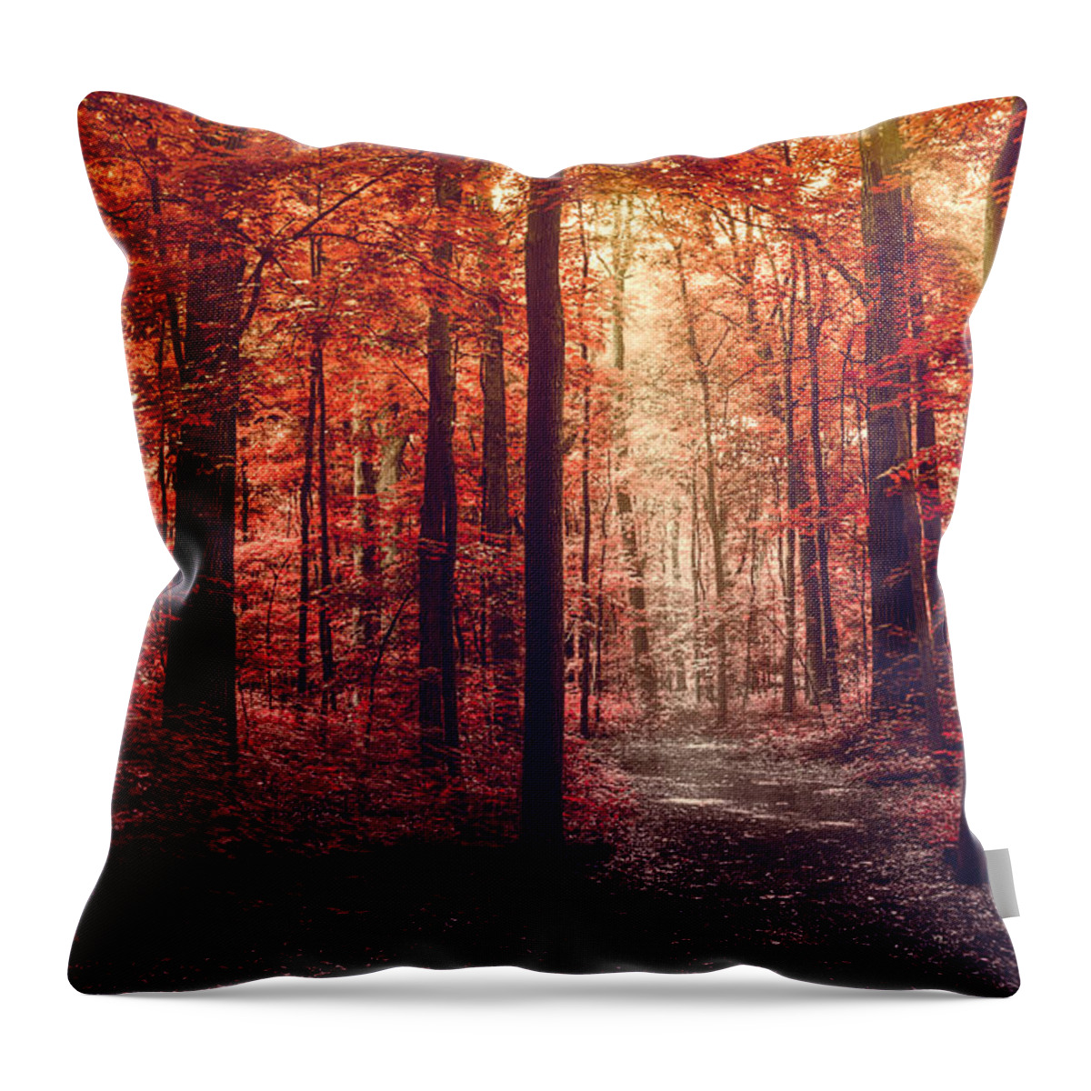 Tranquility Throw Pillow featuring the photograph Show Me The Way by Jeremyvandermeer