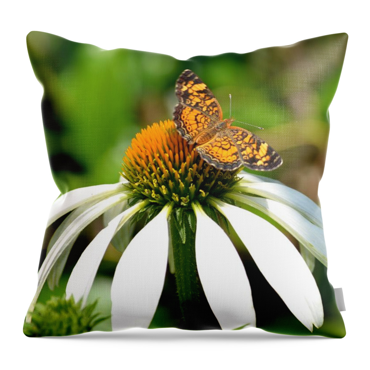 Showoff Throw Pillow featuring the photograph Show Off by Maria Urso