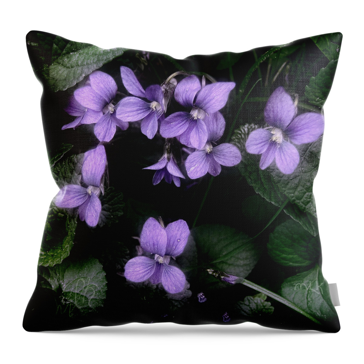 Violet Throw Pillow featuring the photograph Shy Violets by Louise Kumpf