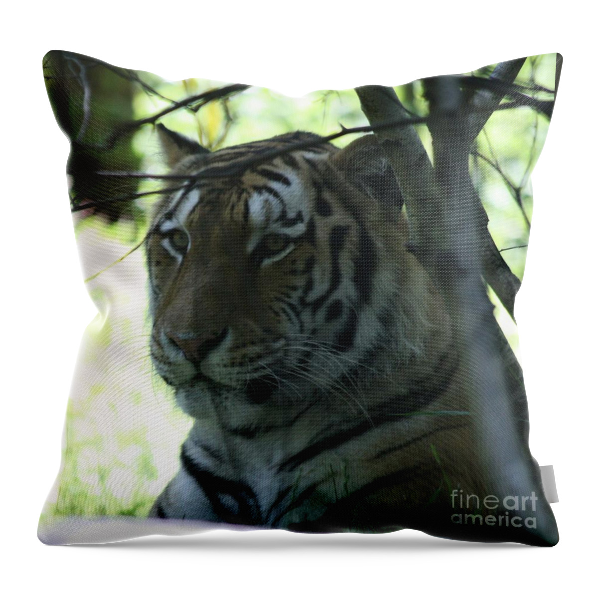 Siberian Tiger Profile Throw Pillow featuring the photograph Siberian Tiger Profile by John Telfer