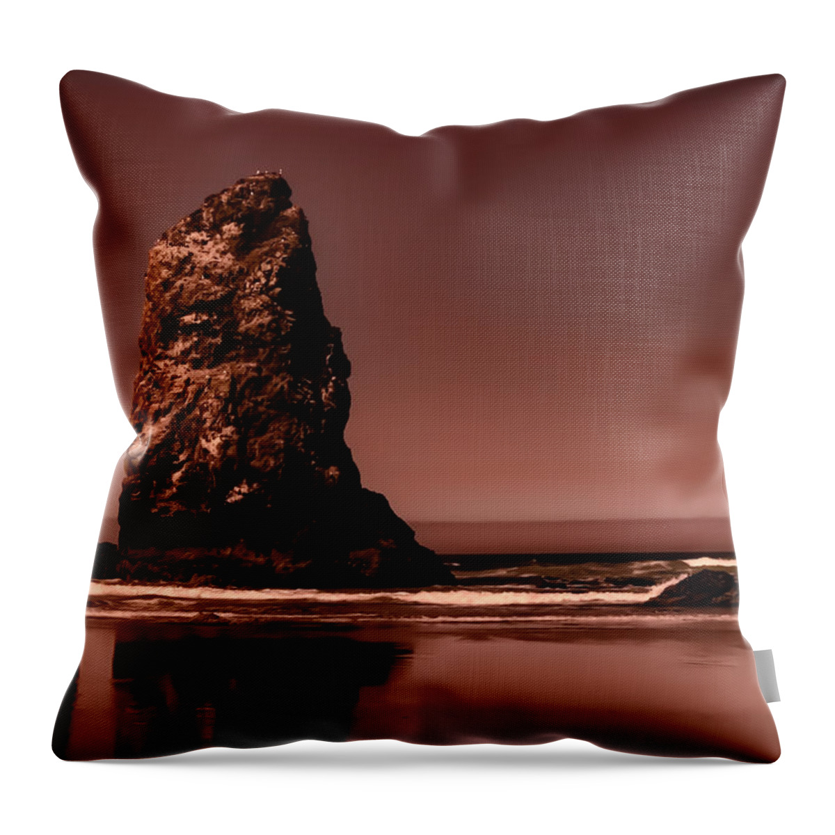 Needle Throw Pillow featuring the photograph Siblings to the Left by Monte Arnold