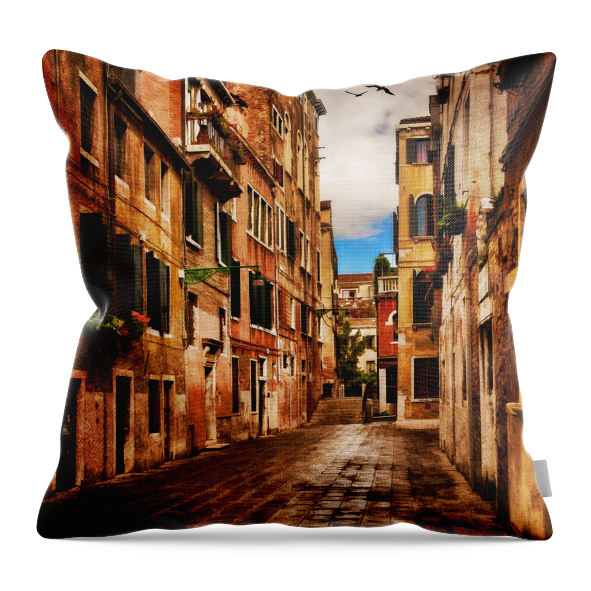 Street Throw Pillow featuring the photograph Side Street in Venice by Mick Burkey