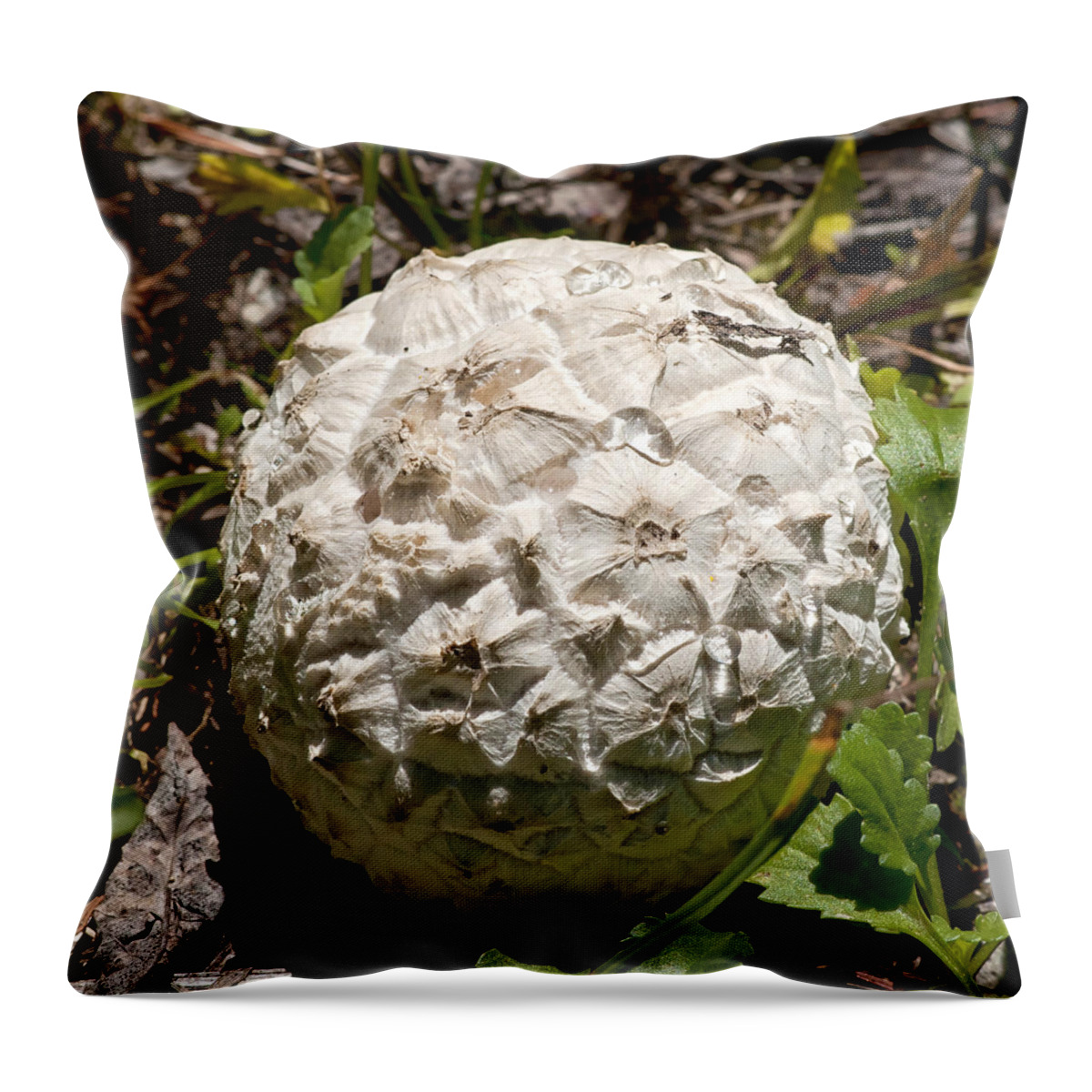 Giant Puffball Throw Pillow featuring the photograph Sierran Puffball by Betty Depee