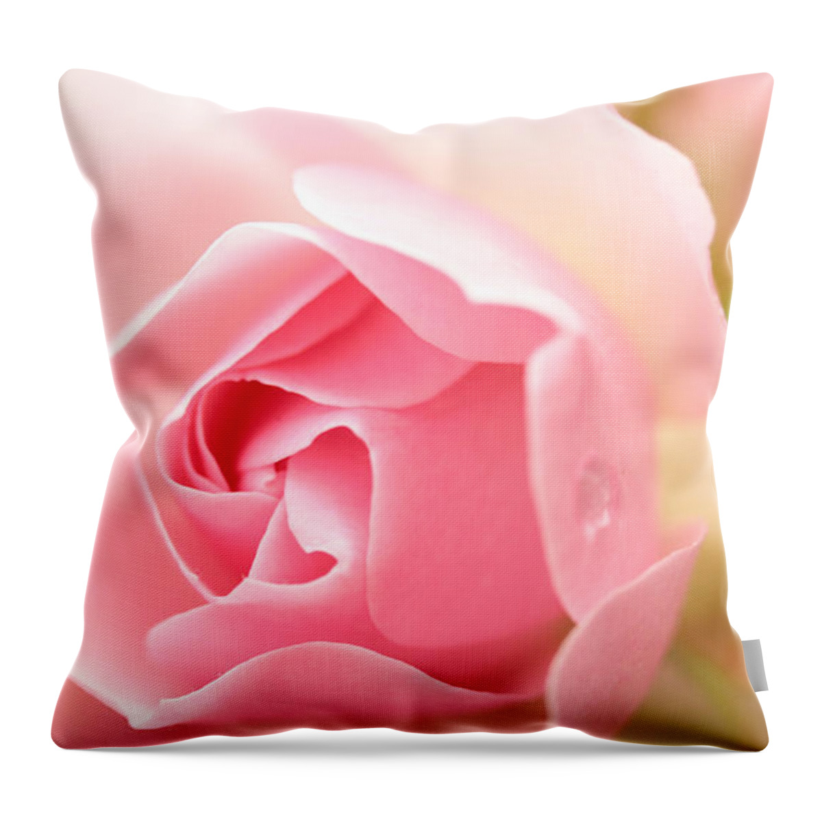 Connie Handscomb Throw Pillow featuring the photograph Silence Of The Heart by Connie Handscomb