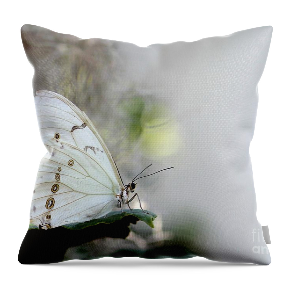 White Throw Pillow featuring the photograph Silent Beauty by Sabrina L Ryan