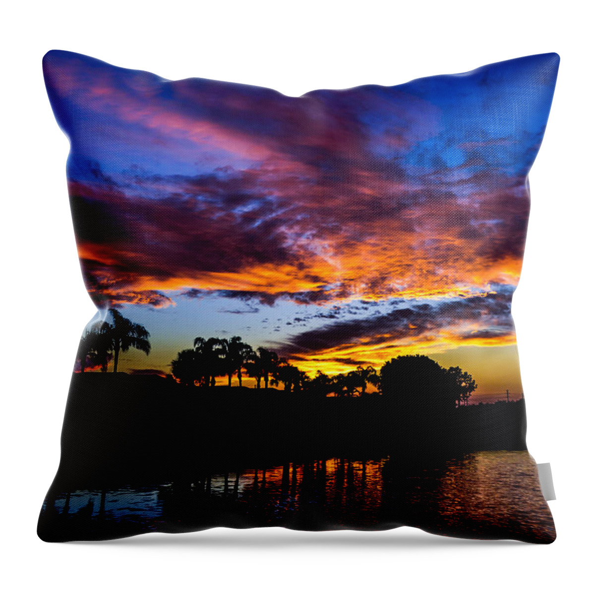 1855mm Throw Pillow featuring the photograph Silhouette of Color by Alan Marlowe