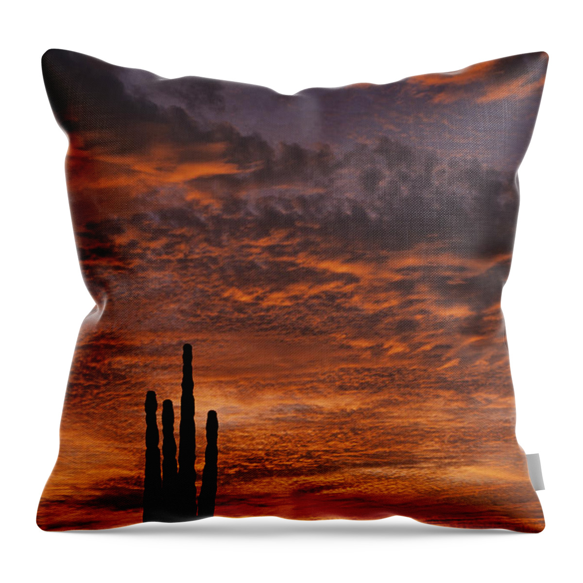 American Southwest Throw Pillow featuring the photograph Silhouetted saguaro cactus sunset at dusk with dramatic clouds by Jim Corwin