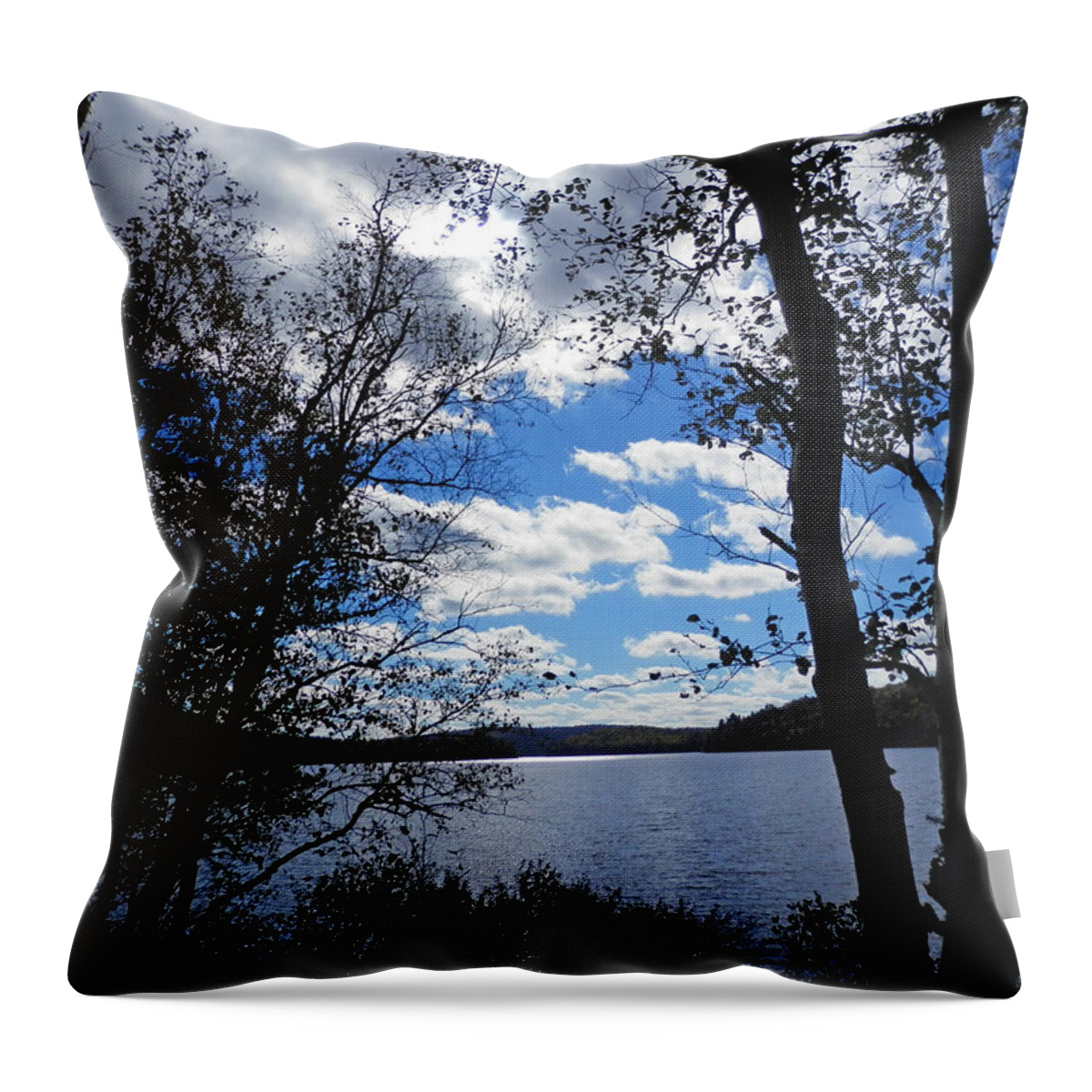 Silhouette Throw Pillow featuring the photograph Silhoutte 1 by Pema Hou