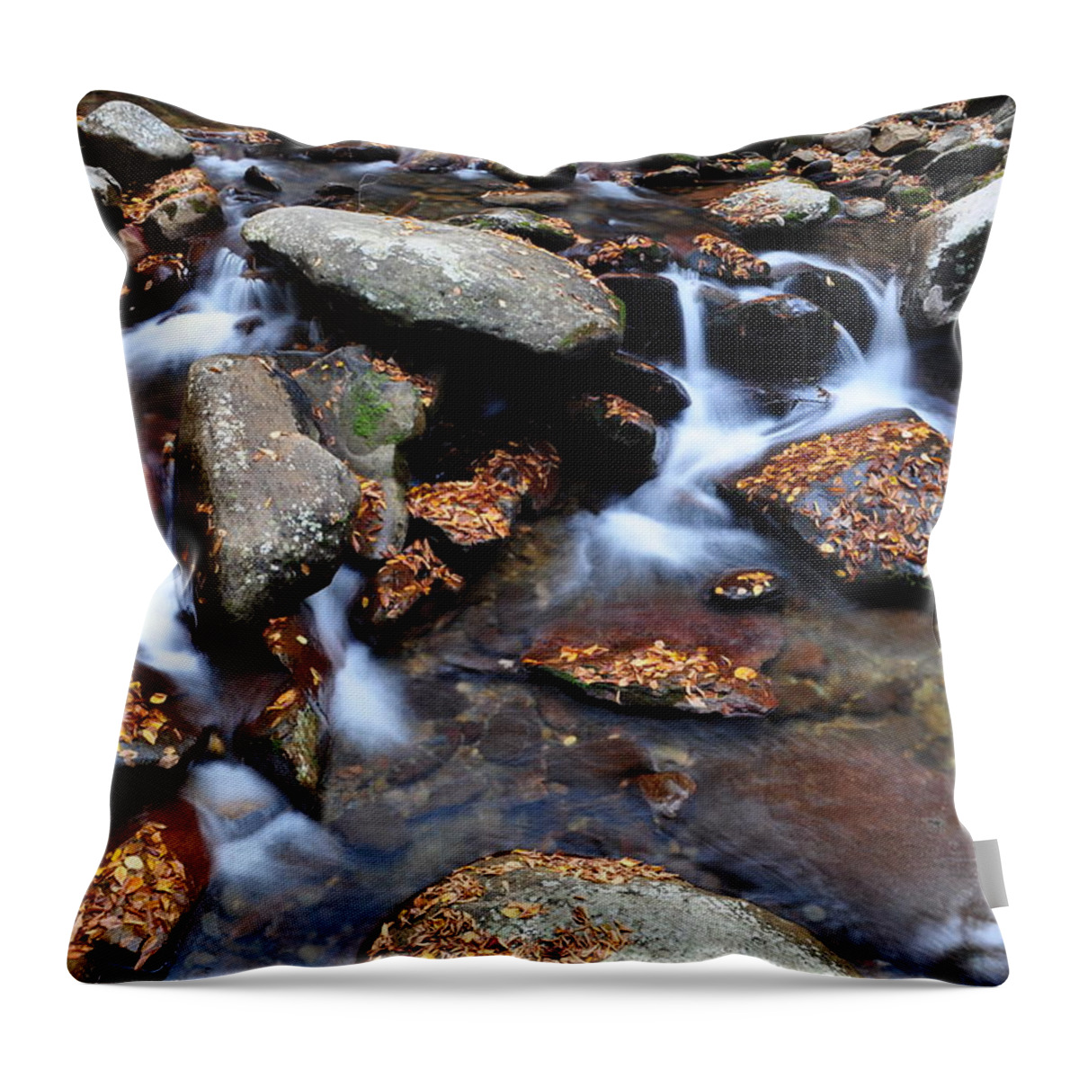Tranquility Throw Pillow featuring the photograph Silky Stream by Thomas Shockey