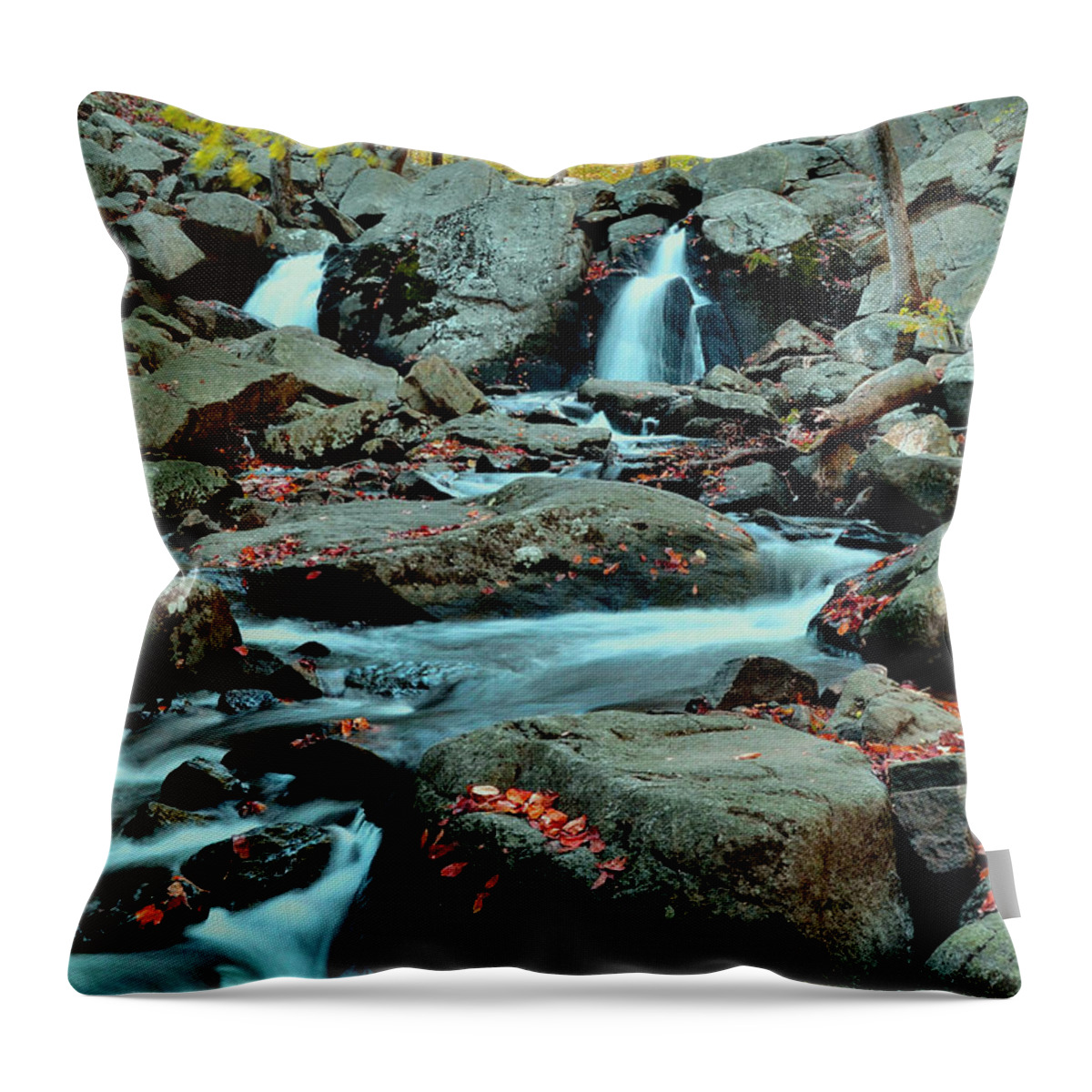 Nature Throw Pillow featuring the photograph Silky Water 3 by Allen Beatty