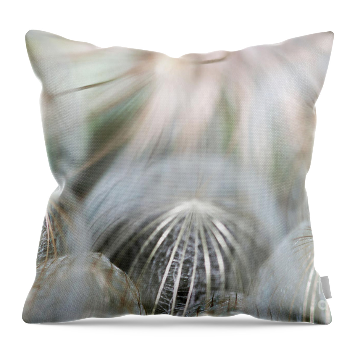 Wildflowers Throw Pillow featuring the photograph Silver Fire by Gwen Gibson