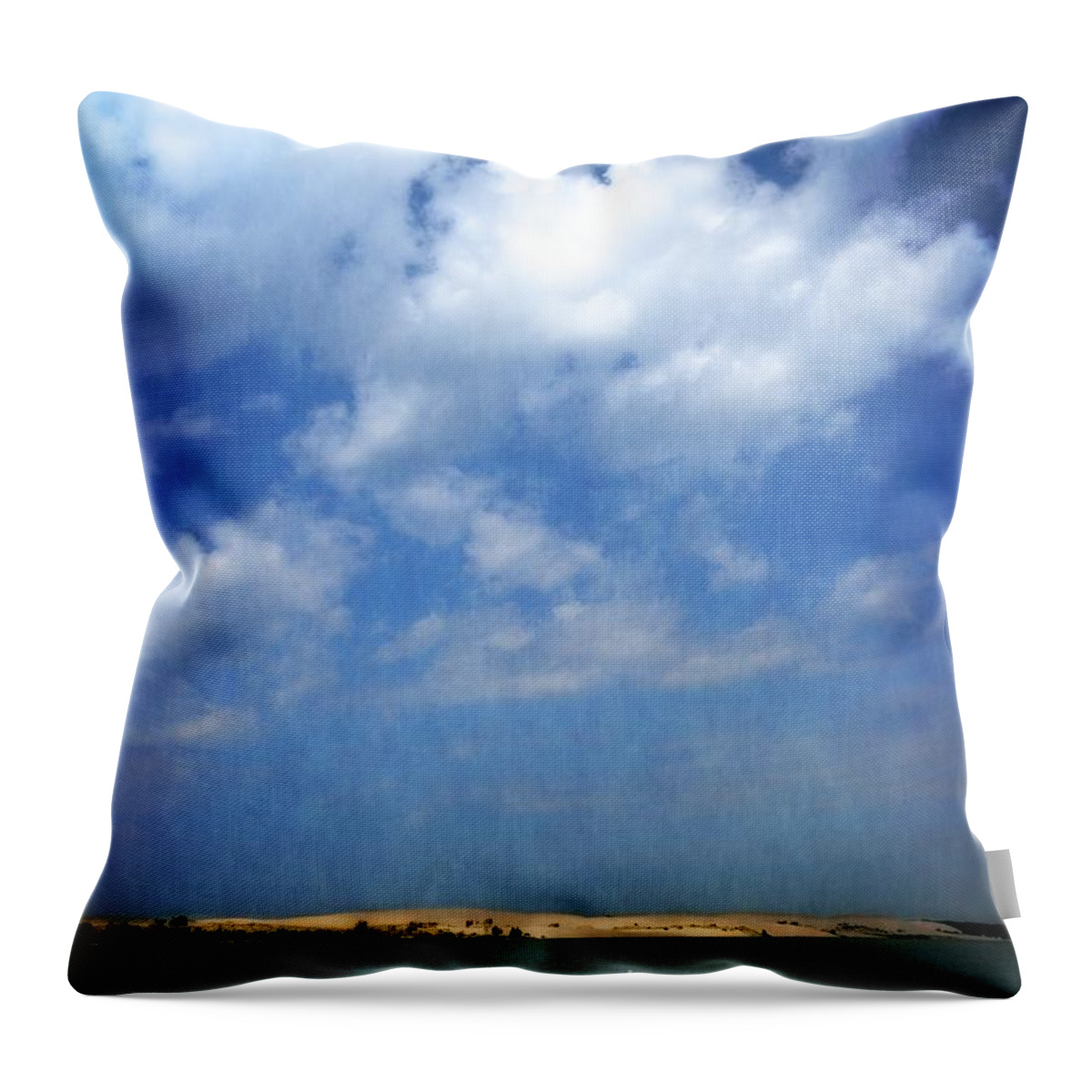 Silver Lake Throw Pillow featuring the photograph Silver Lake Sand Dunes 2.0 by Michelle Calkins