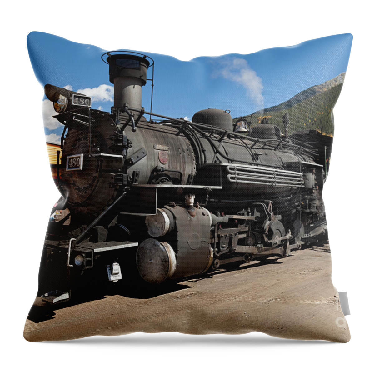 Afternoon Throw Pillow featuring the photograph Silverton Station Engine 480 on the Durango and Silverton Narrow Gauge RR by Fred Stearns