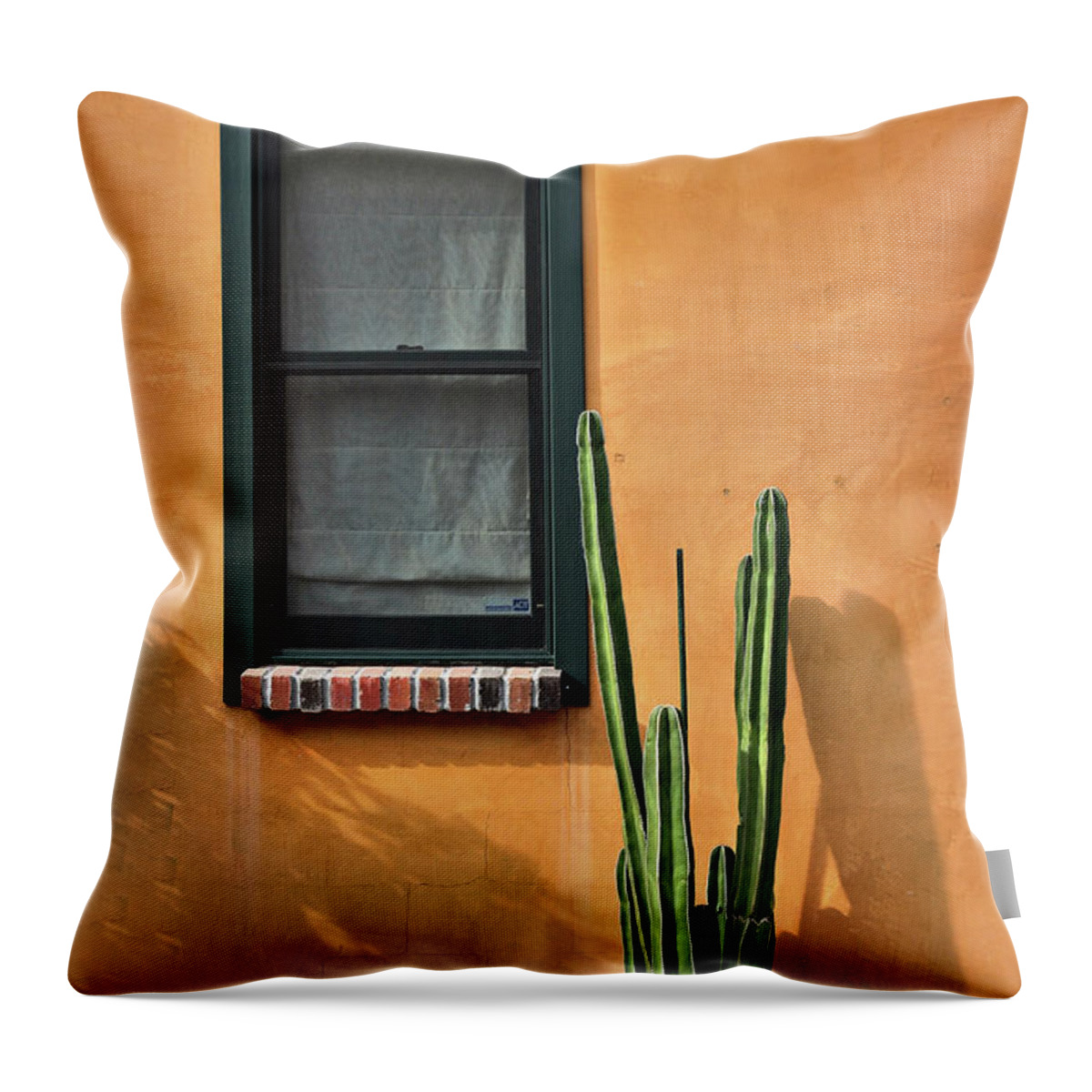 Tucson Throw Pillow featuring the photograph Simple Design by Barbara Manis